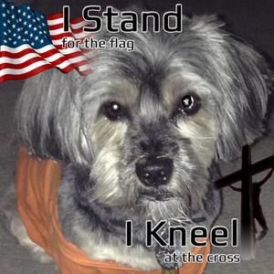 Meet your Posher, Vicki